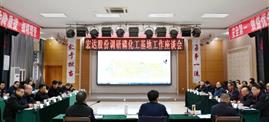 众赢国际股份党委书记、董事长乔胜俊率队到磷化工基地调研